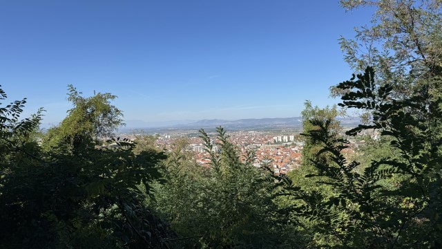 IMG 3012