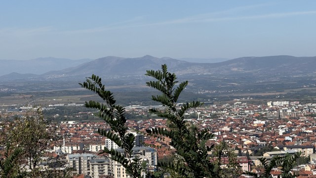 IMG 3013