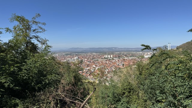 IMG 3015