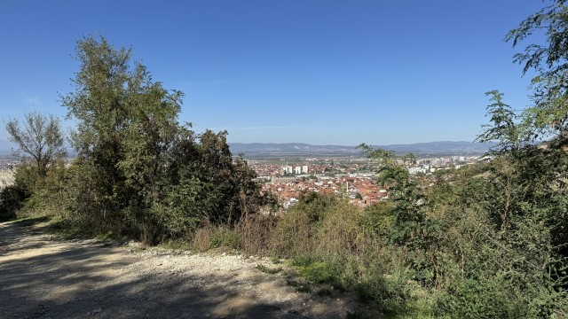 IMG 3020