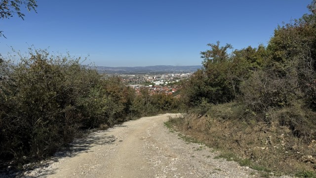IMG 3028