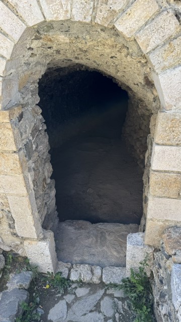 IMG 3039