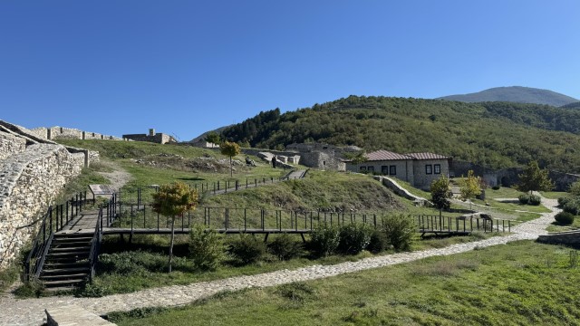 IMG 3075