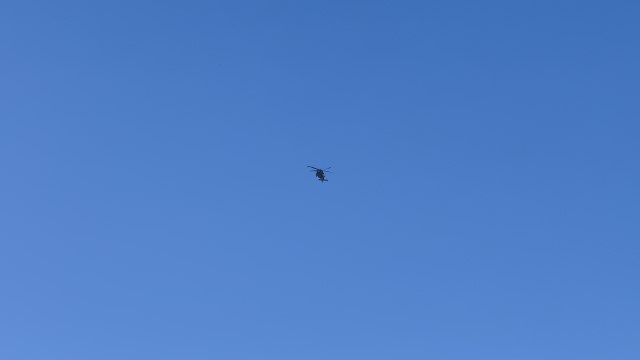 IMG 3095