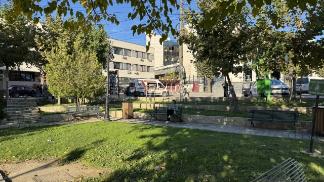 IMG 3123