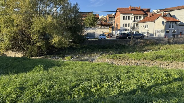 IMG 3138