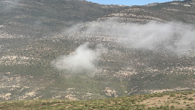 IMG 3213