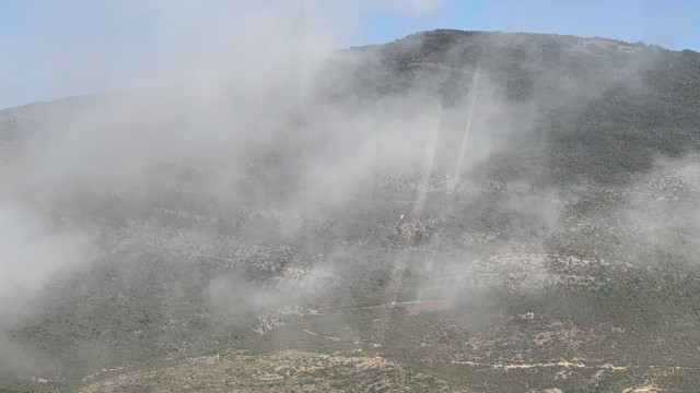 IMG 3215