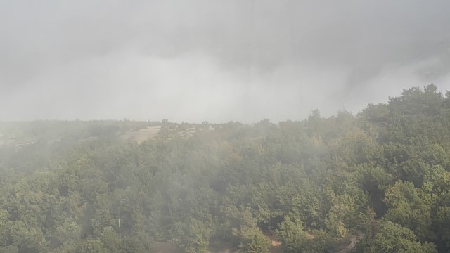 IMG 3217