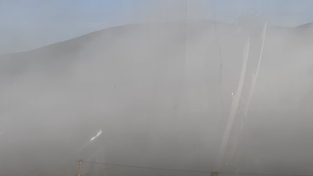 IMG 3219
