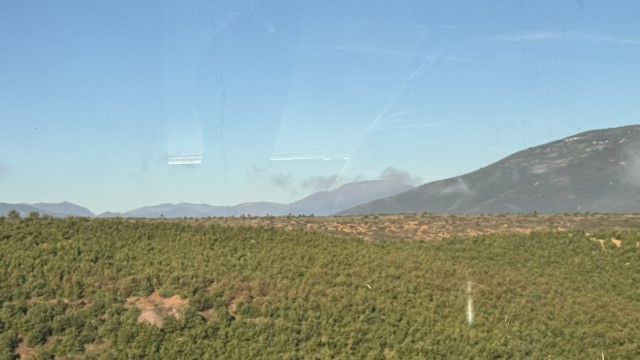 IMG 3224