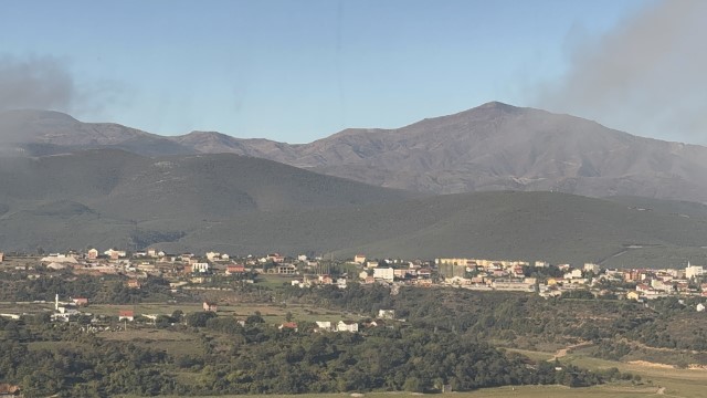 IMG 3235