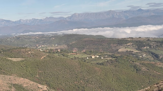 IMG 3251