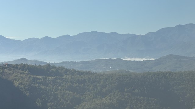IMG 3262