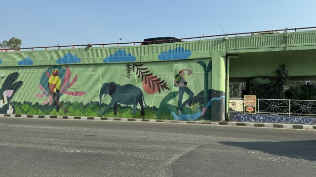 IMG 3758