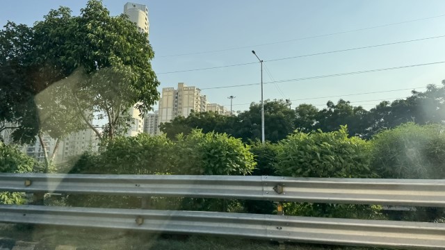 IMG 3808