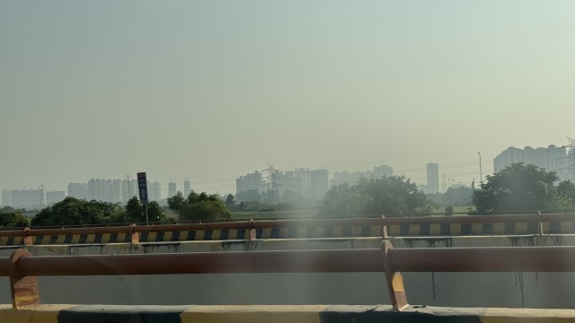 IMG 3813