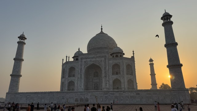 IMG 3935