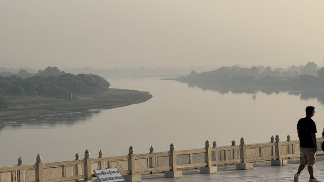 IMG 3974