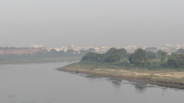 IMG 3978