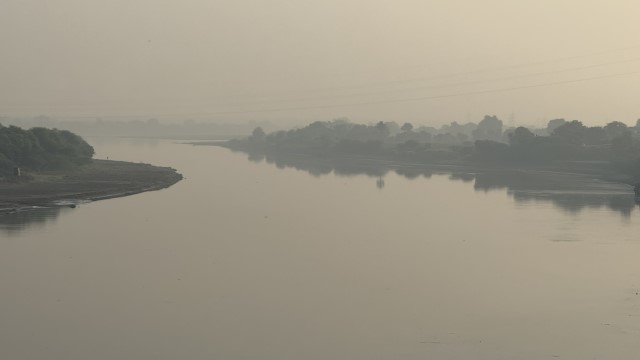 IMG 3984