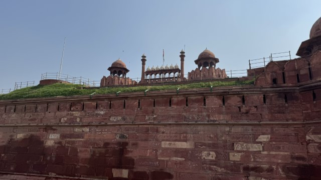 IMG 3531