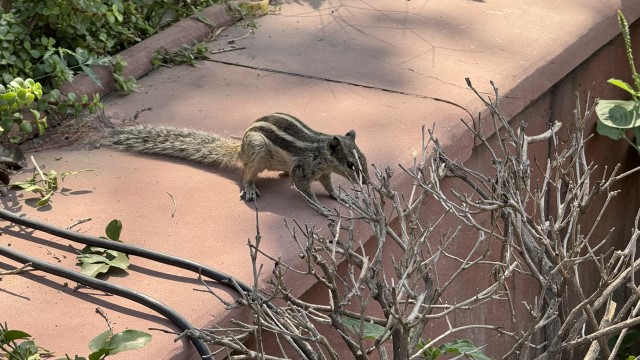 IMG 3576