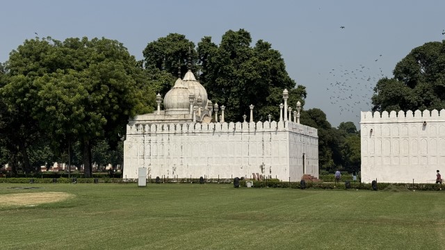 IMG 3627