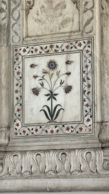 IMG 3635