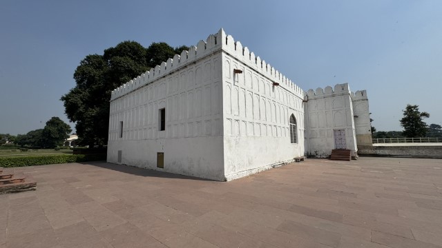 IMG 3655