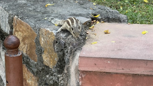 IMG 3674