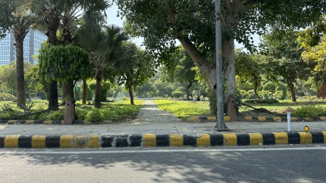 IMG 3685