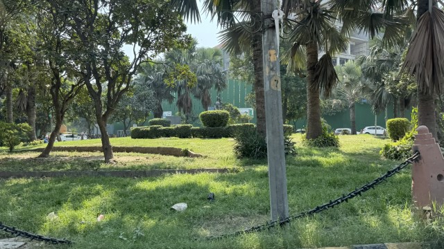 IMG 3687