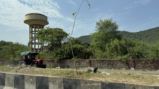 IMG 4561