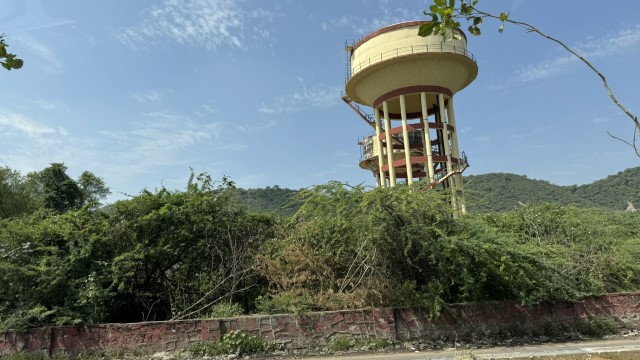 IMG 4563