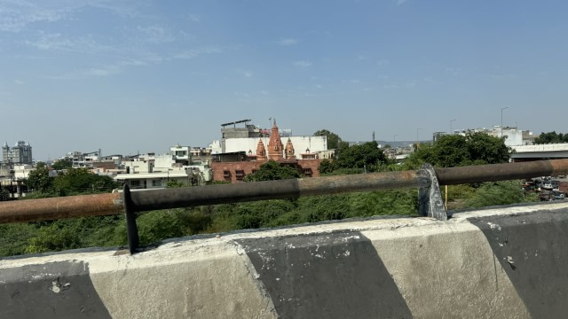 IMG 4591
