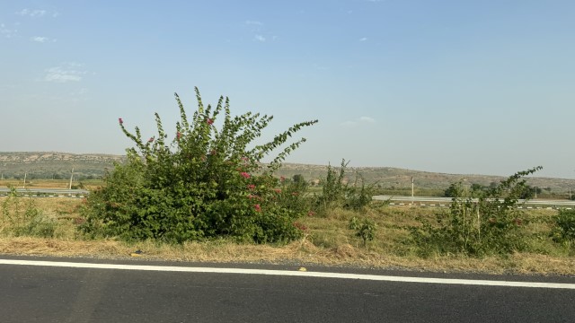 IMG 4624