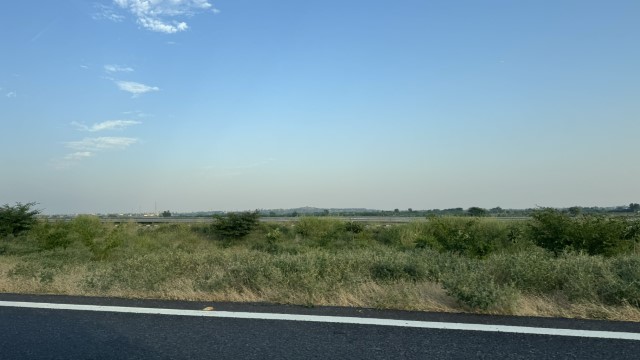 IMG 4634