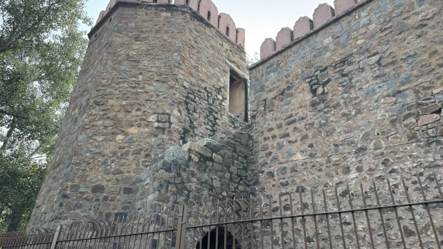 IMG 7979