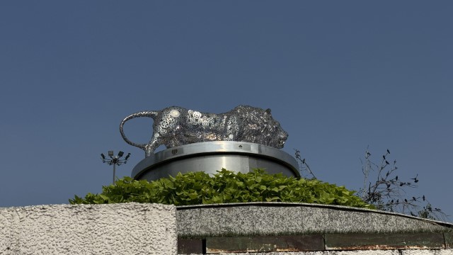 IMG 8013