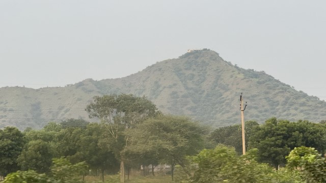 IMG 4318