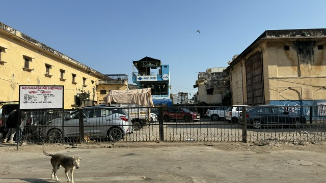 IMG 4413