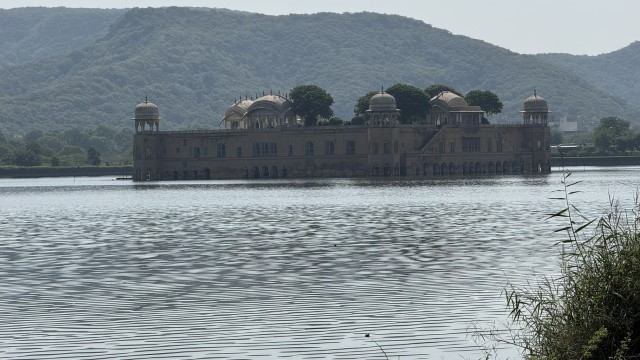 IMG 4523