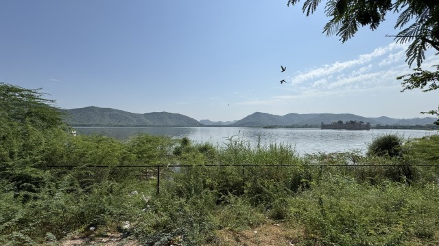 IMG 4525