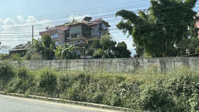 IMG 5755