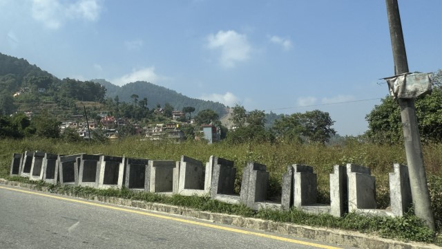 IMG 5769