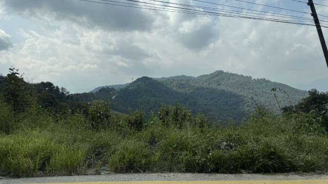 IMG 5850