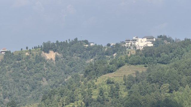 IMG 5930