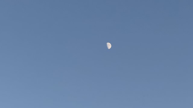 IMG 4943