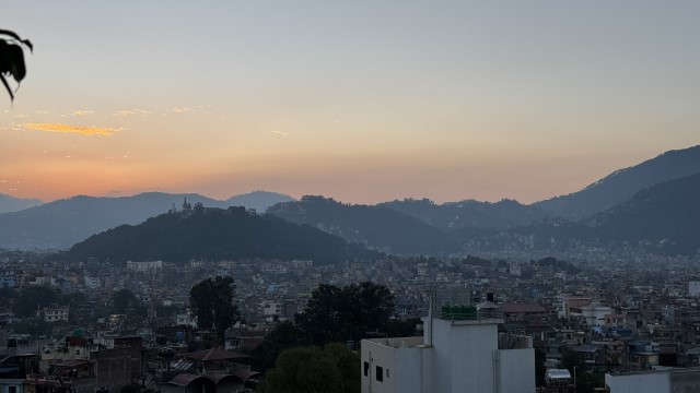 IMG 4950